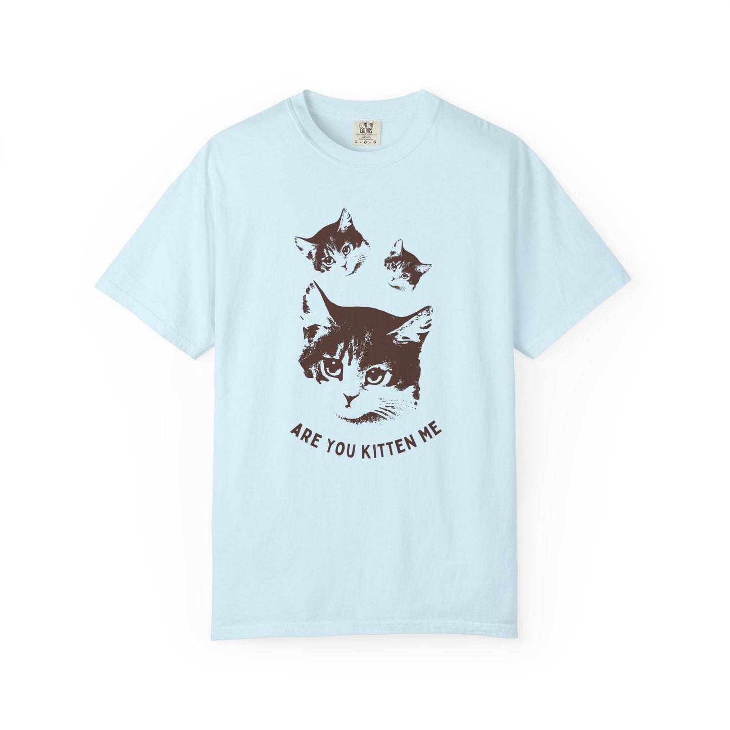"Are You Kitten Me" Snarky Kitten Tee