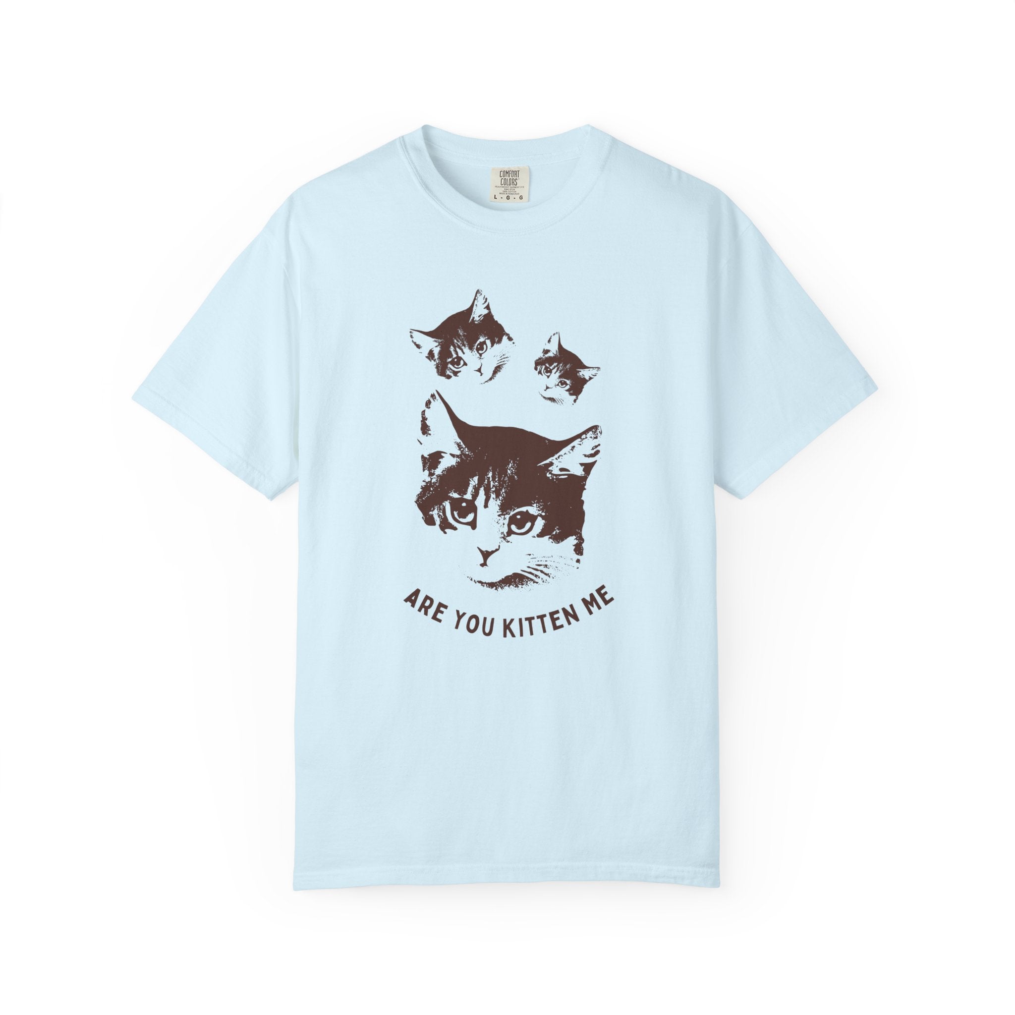 "Are You Kitten Me" Snarky Kitten Tee
