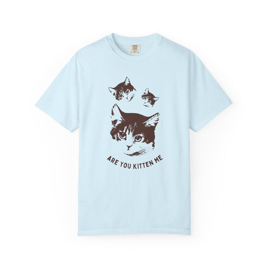 "Are You Kitten Me" Snarky Kitten Tee