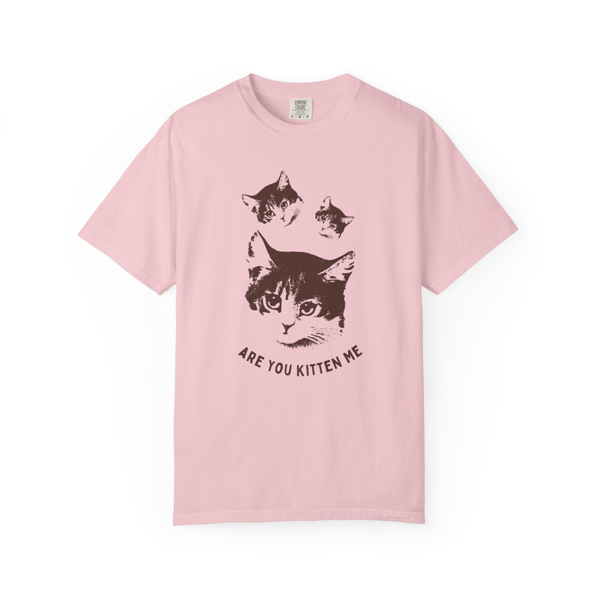 "Are You Kitten Me" Snarky Kitten Tee