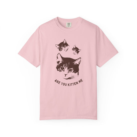 "Are You Kitten Me" Snarky Kitten Tee