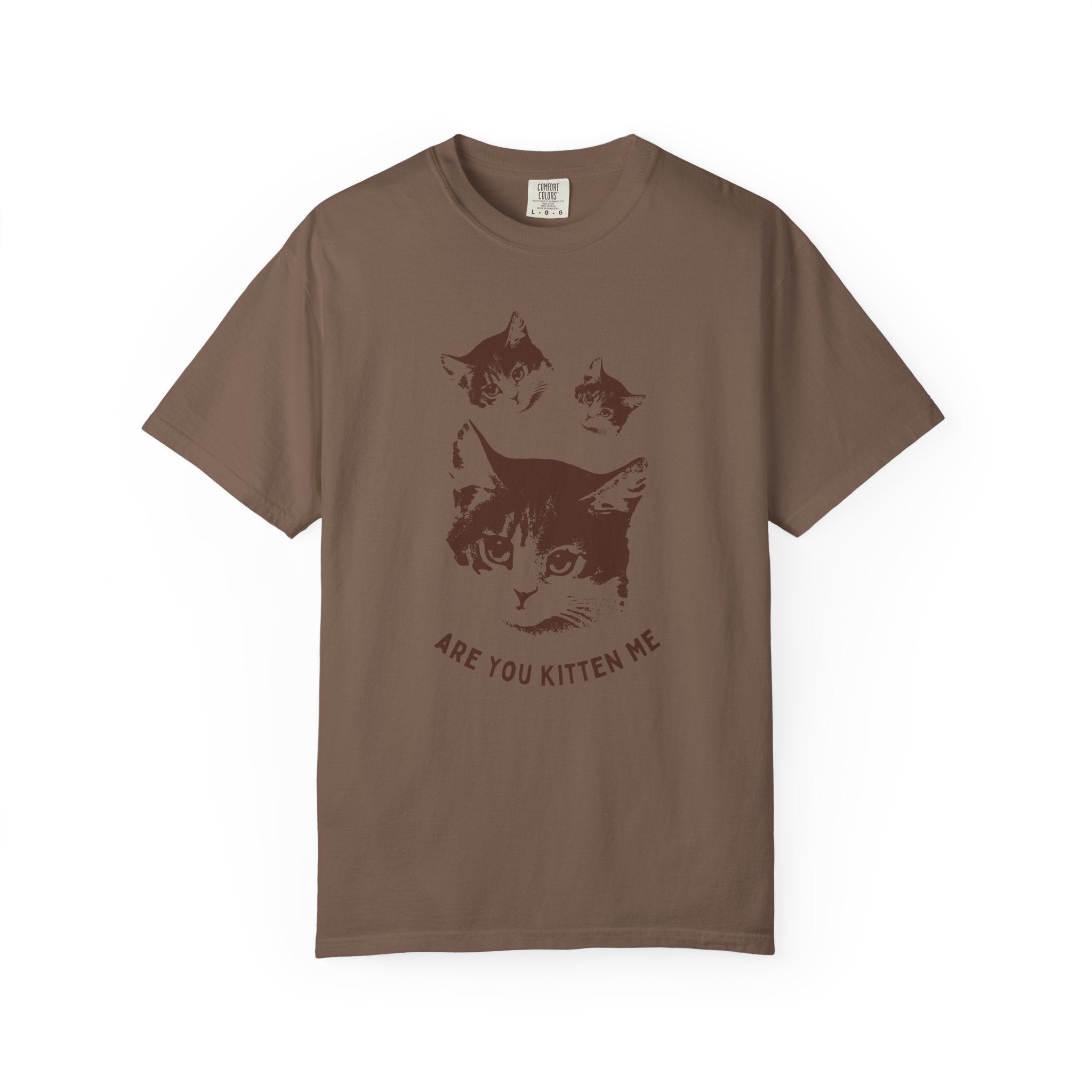 "Are You Kitten Me" Snarky Kitten Tee