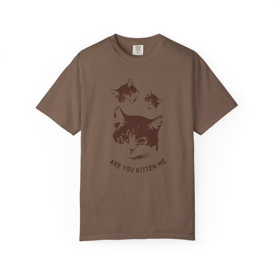 "Are You Kitten Me" Snarky Kitten Tee