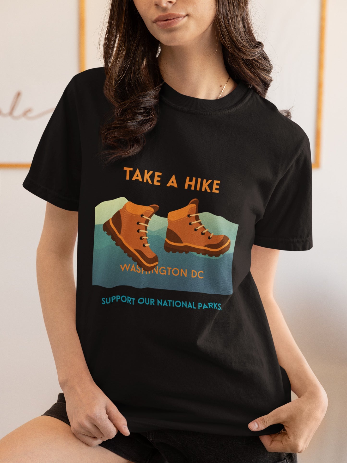"Take A Hike Washington DC"  National Park Tee