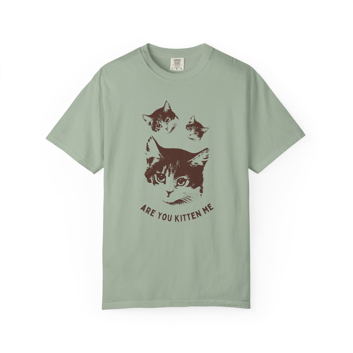 "Are You Kitten Me" Snarky Kitten Tee