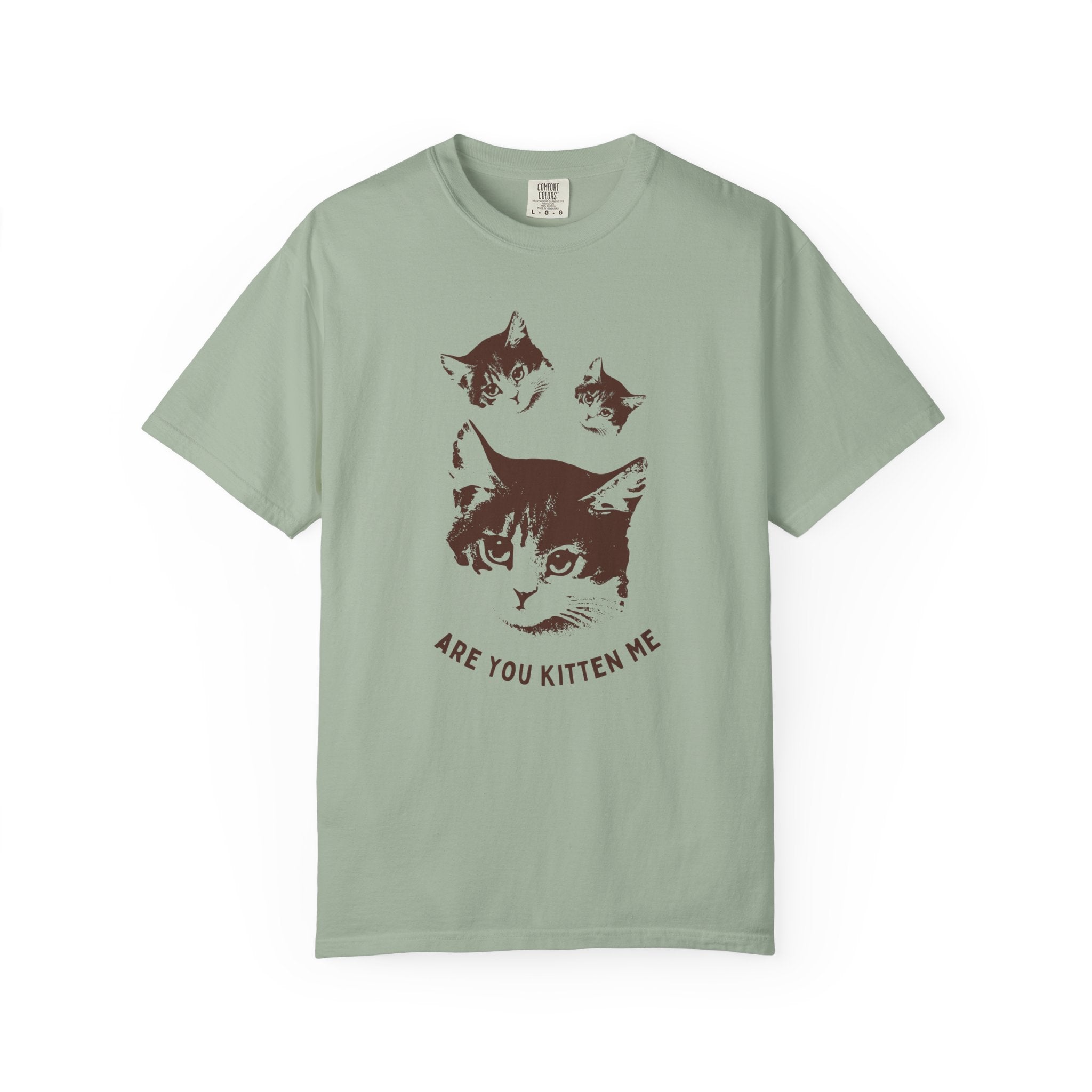 "Are You Kitten Me" Snarky Kitten Tee