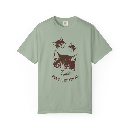 "Are You Kitten Me" Snarky Kitten Tee