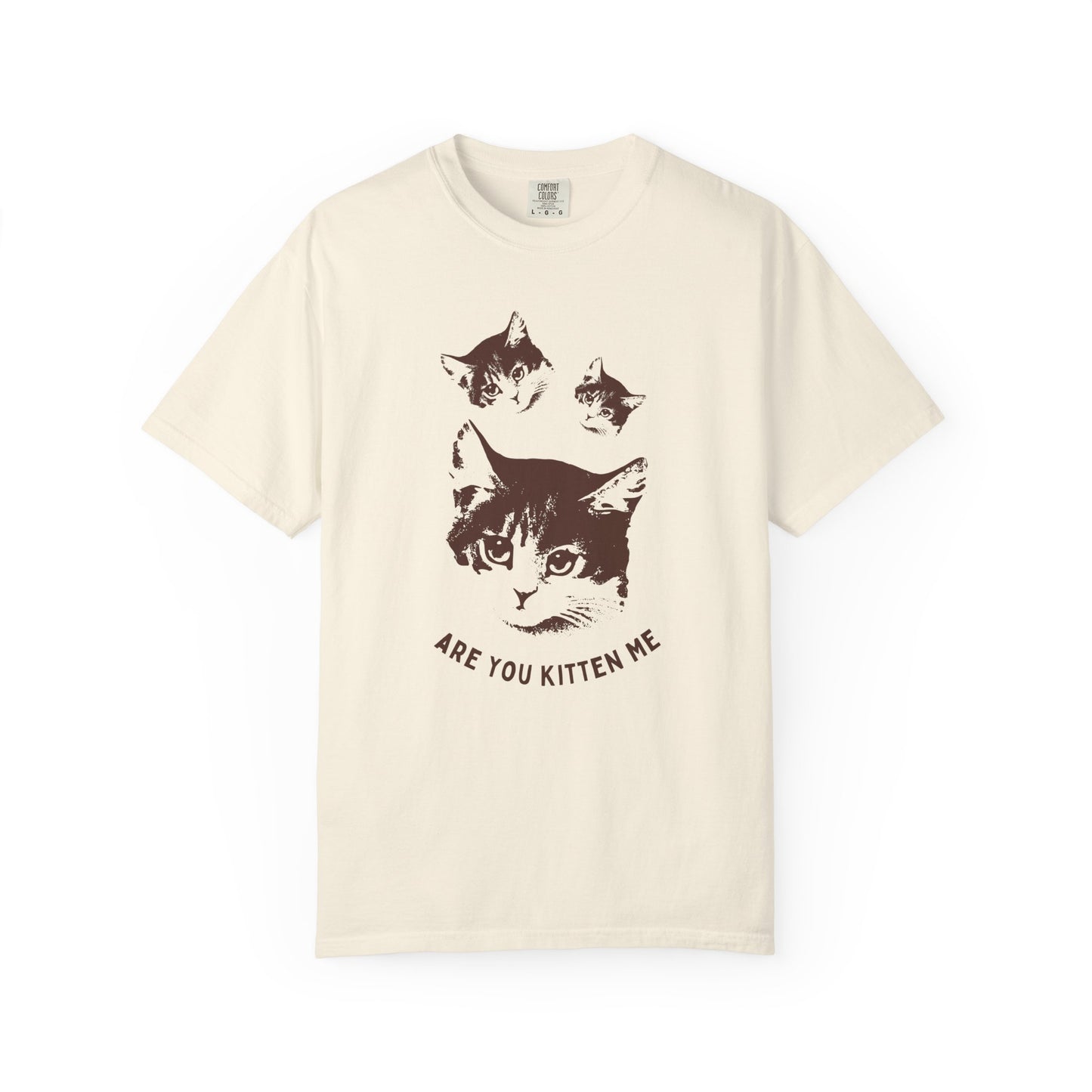 "Are You Kitten Me" Snarky Kitten Tee