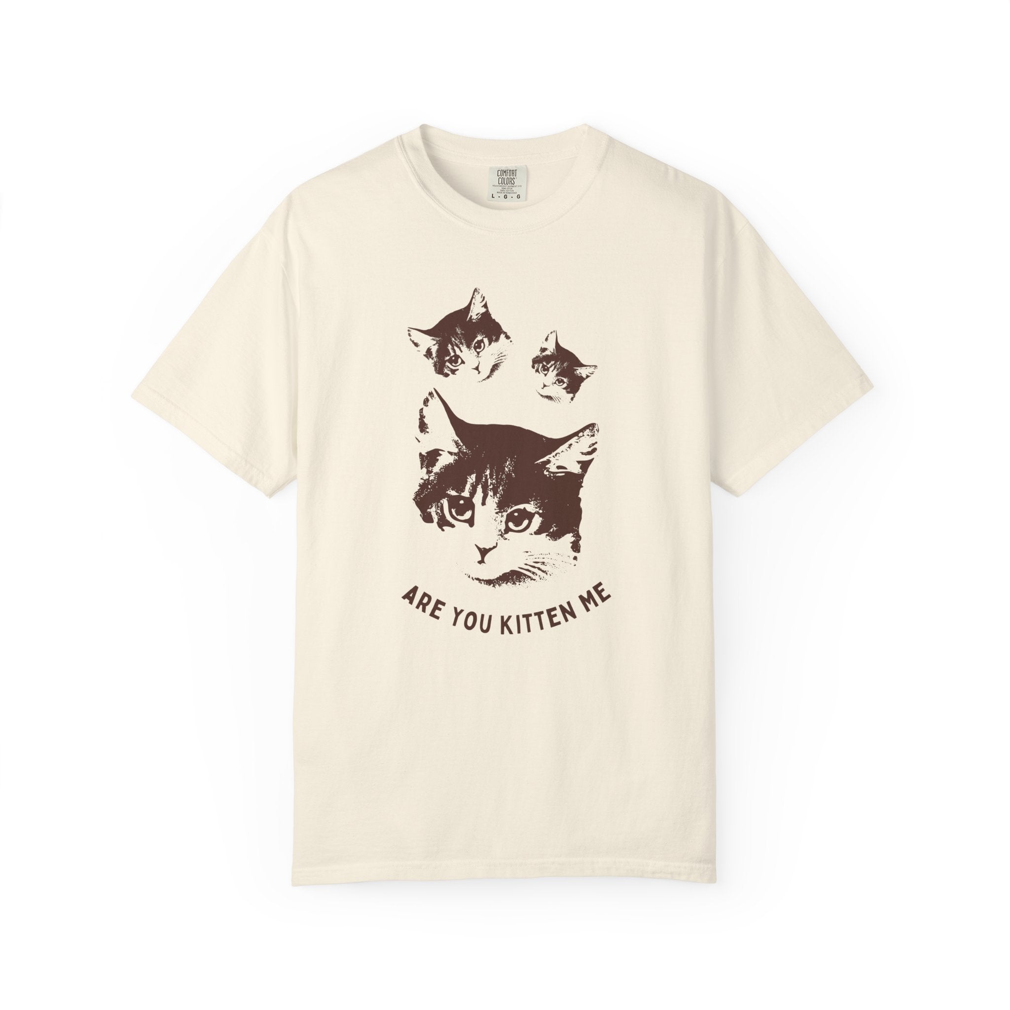 "Are You Kitten Me" Snarky Kitten Tee