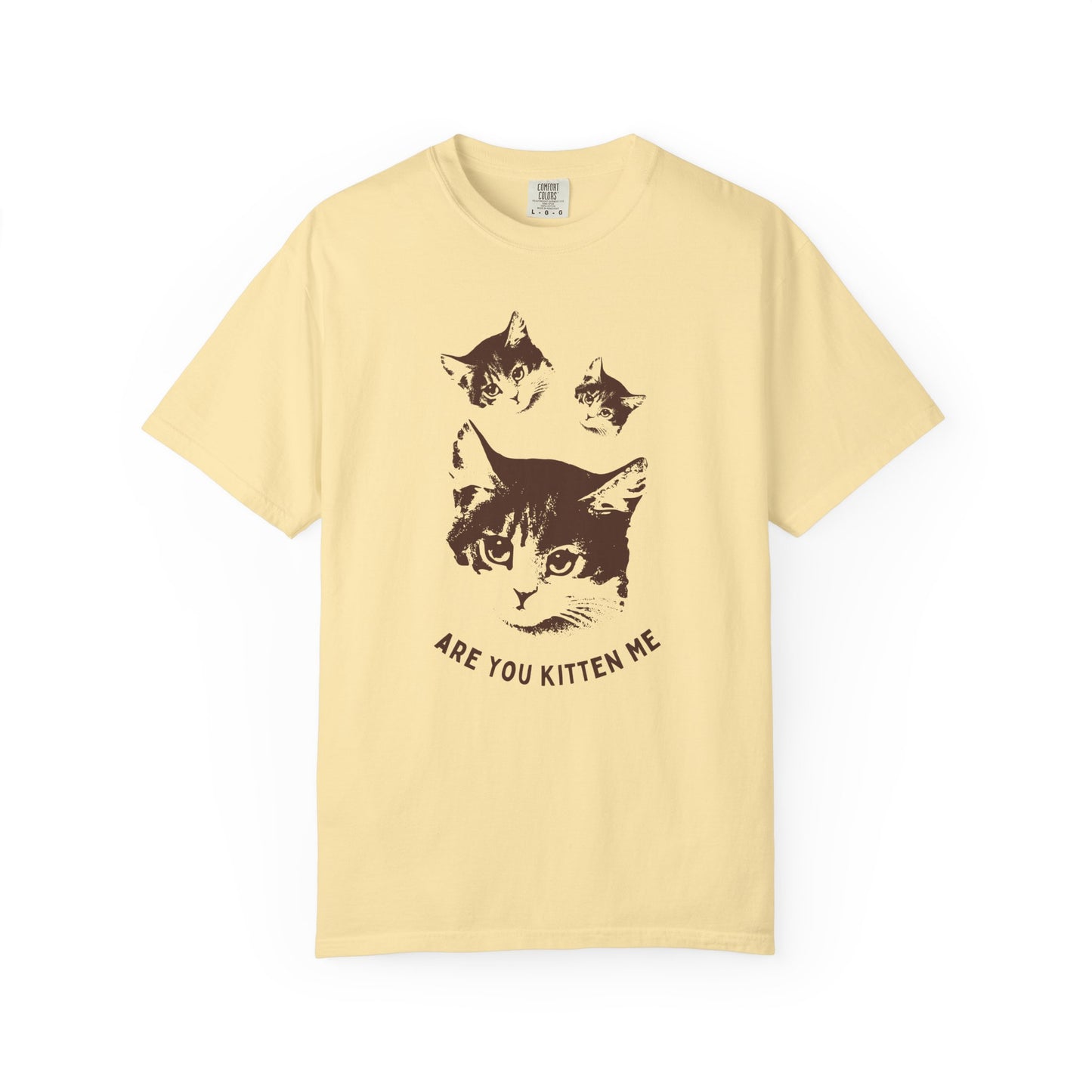 "Are You Kitten Me" Snarky Kitten Tee