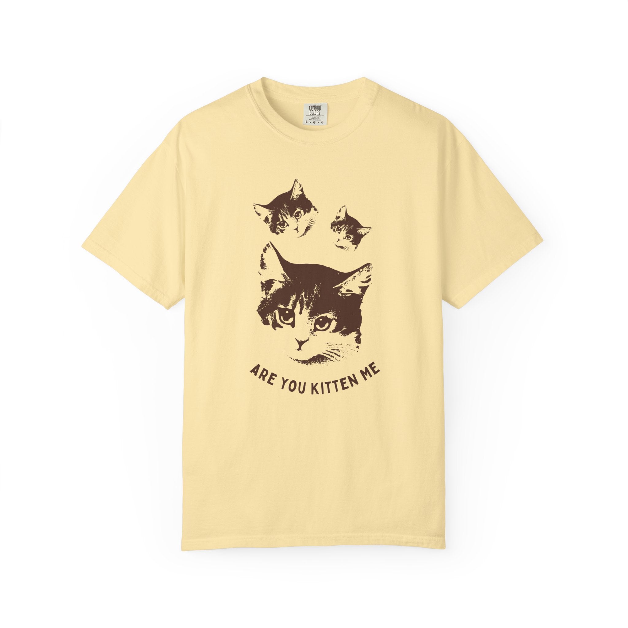 "Are You Kitten Me" Snarky Kitten Tee