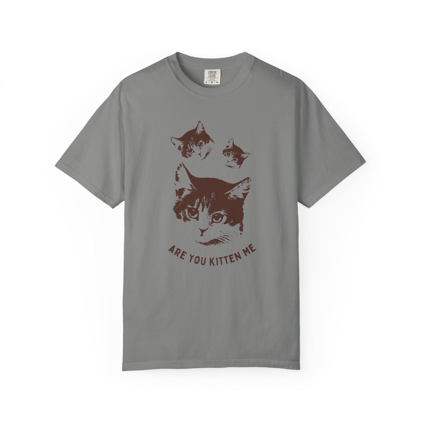 "Are You Kitten Me" Snarky Kitten Tee