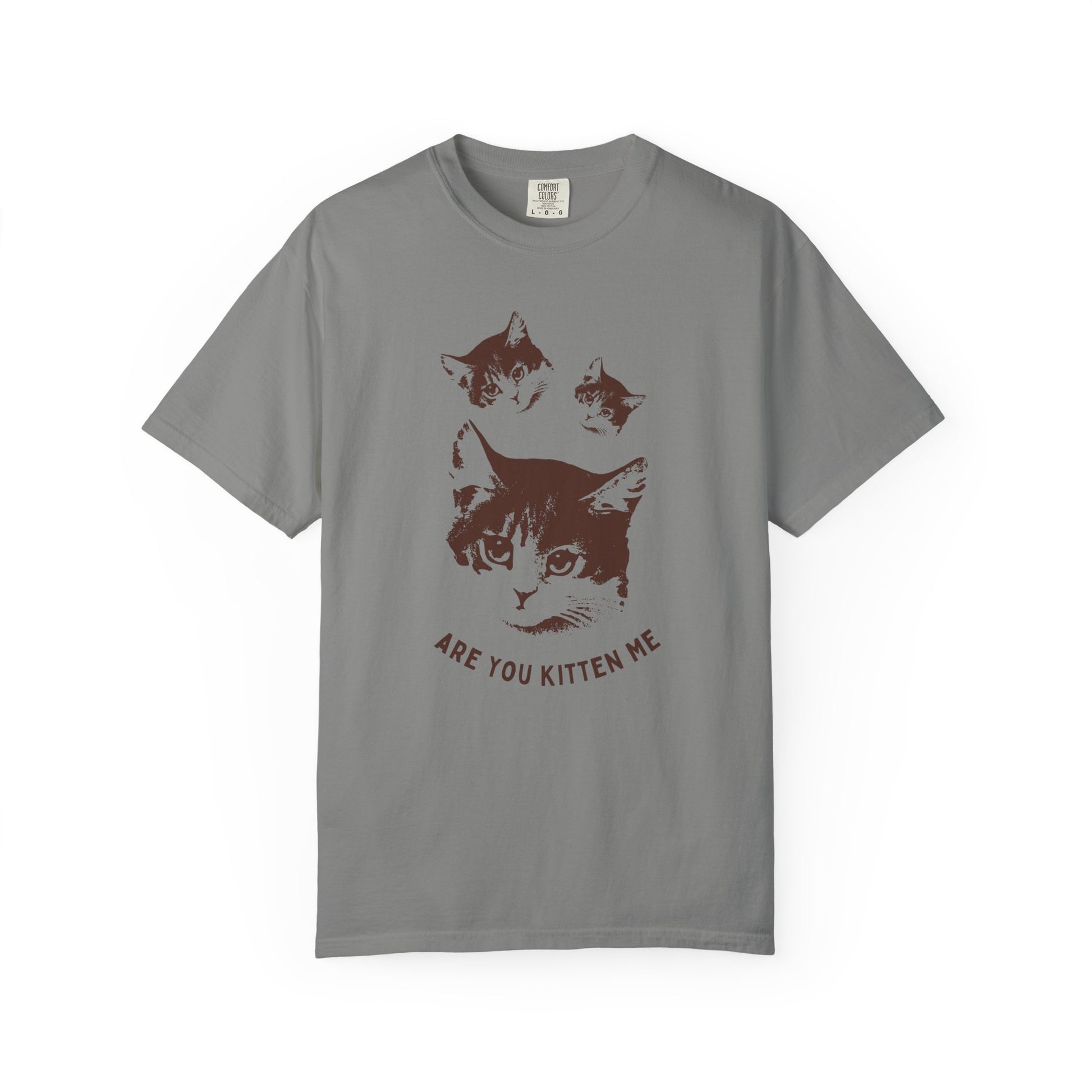 "Are You Kitten Me" Snarky Kitten Tee