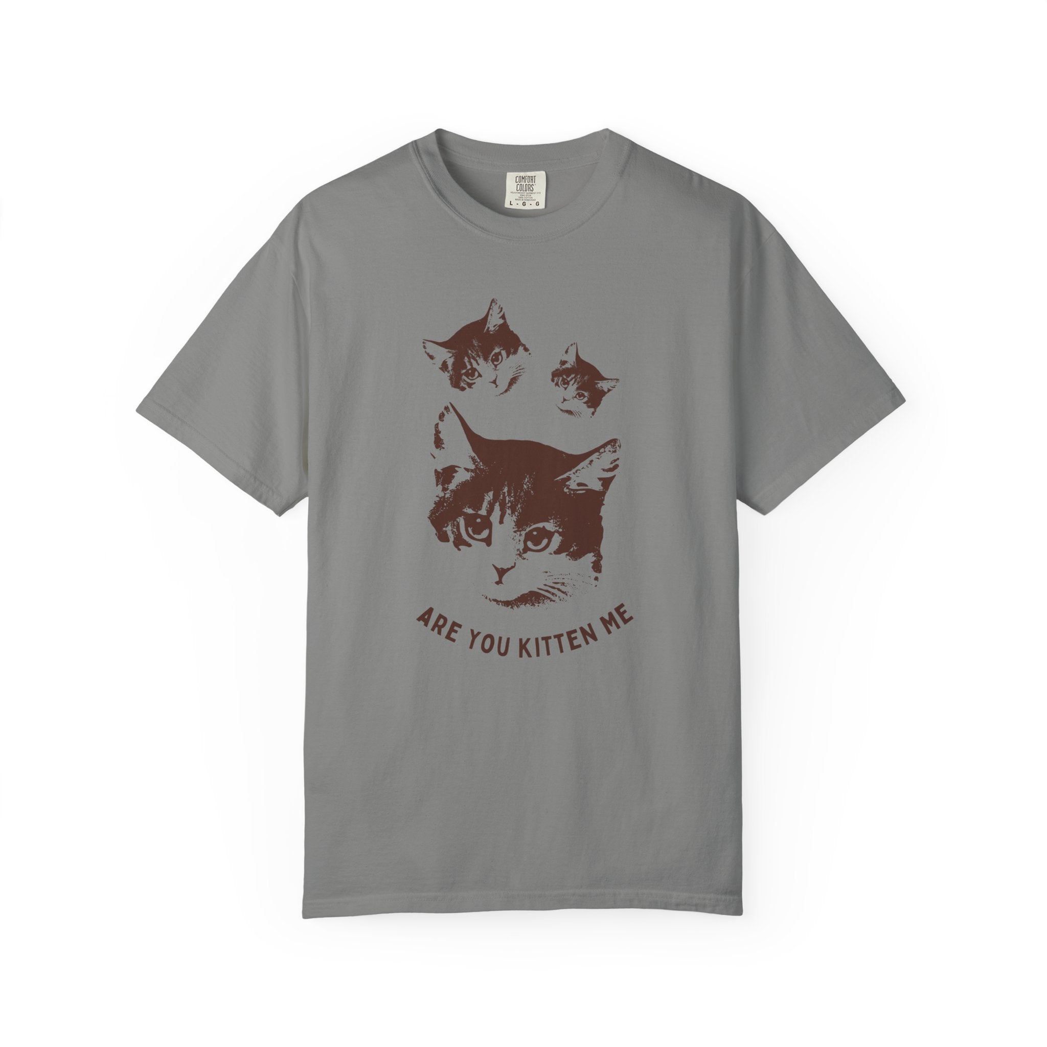 "Are You Kitten Me" Snarky Kitten Tee