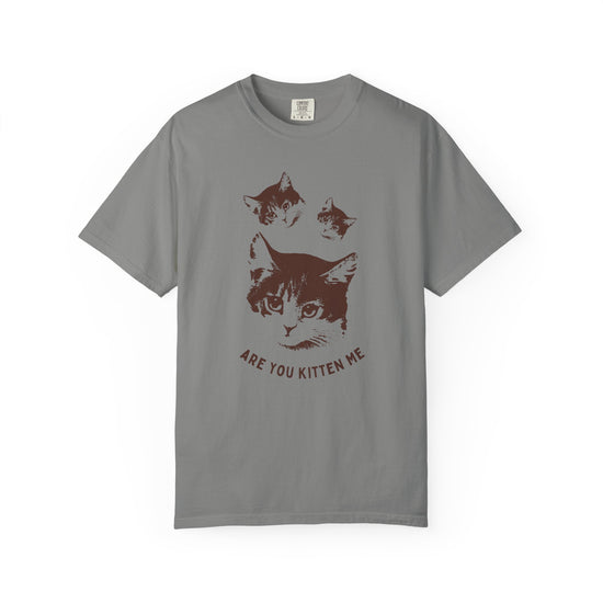 "Are You Kitten Me" Snarky Kitten Tee