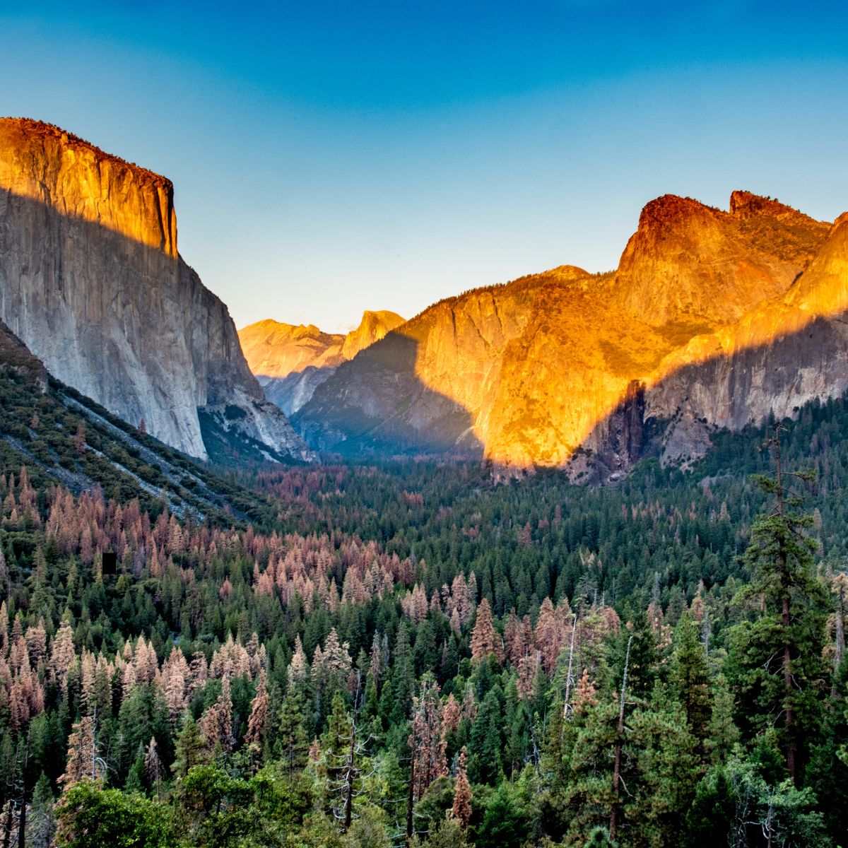 Celebrate National Parks!